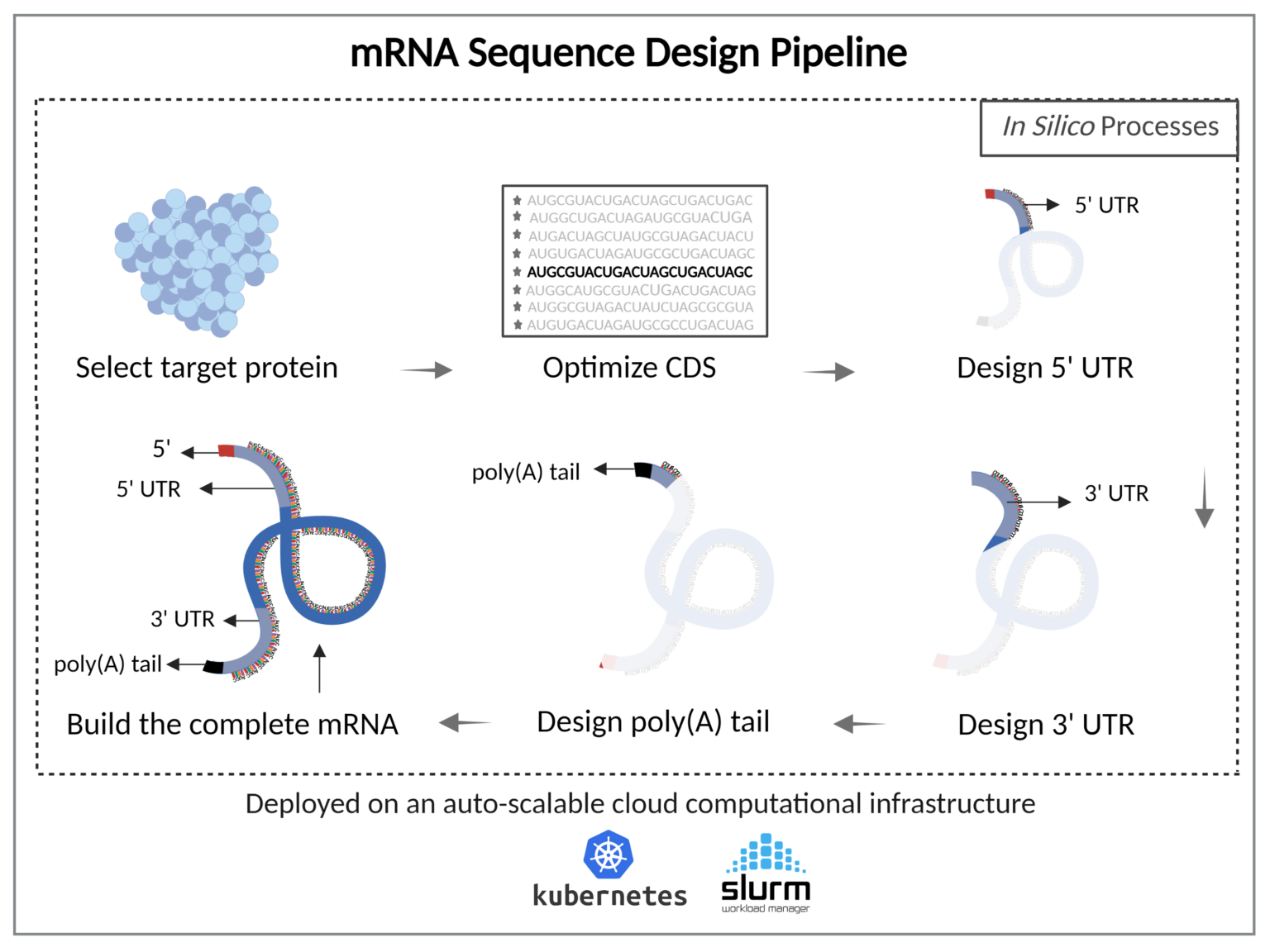 mRNA platform | RNA therapeutics | RNA Sequencing | Aganitha
