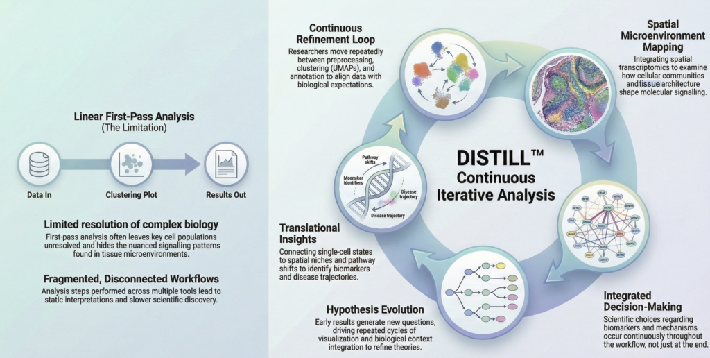 Single-cell, spatial, and multi-omics datasets rarely yield clear answers in a single pass. Scientists move repeatedly between analysis, annotation, and interpretation to arrive at defensible conclusions. In practice, insight emerges through iteration.
